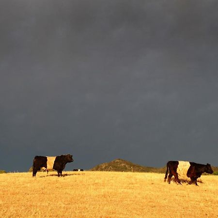 Peppertree Farm Mudgee Villa Luaran gambar