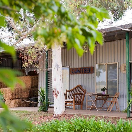 Peppertree Farm Mudgee Villa Luaran gambar