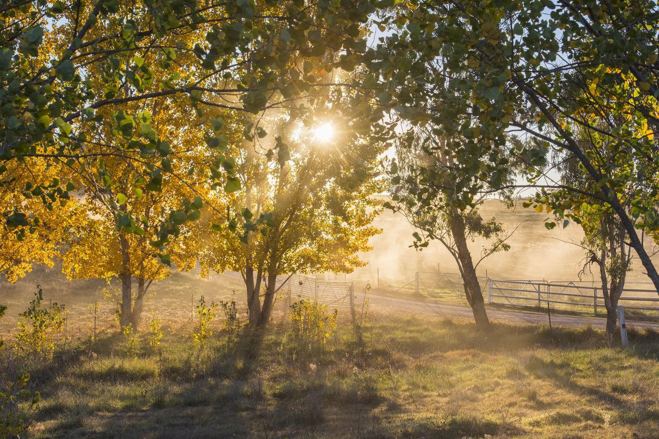 Peppertree Farm Mudgee Villa Luaran gambar
